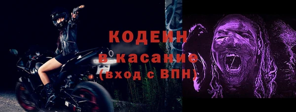 прущие грибы Няндома