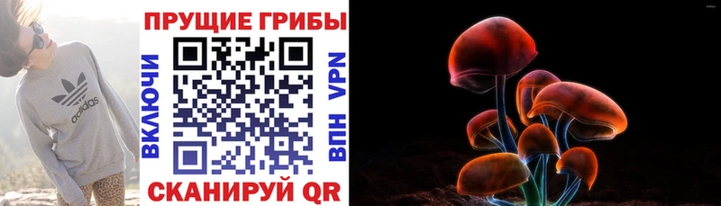 купить наркоту  Ряжск  Галлюциногенные грибы мухоморы 